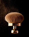 Powder Brush